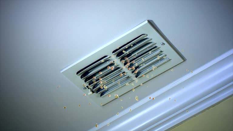 Best Air Vent Cleaning Services  in Smithville, TX